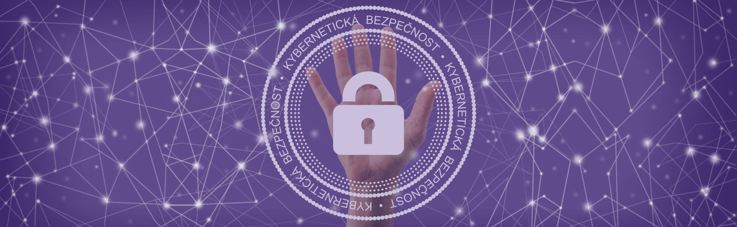 Kybernetická Bezpečnost